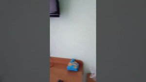 "НАРОЧАНСКИЙ БЕРЕГ" обзор номера