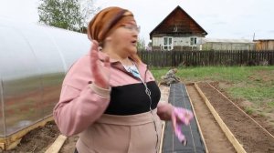 Посадка земляники на агроволокно: как сделать грядки и закрепить укрывной материал