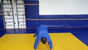 Домашняя тренировка Дзюдо
