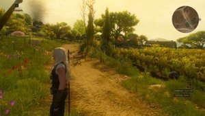 Witcher 3 Wild Hunt Мод на спутников V 4.04