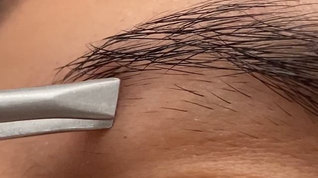 Eyebrow Plucking 6 *SATISFYING*