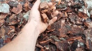 Дробилка сосновой коры.+375295863688