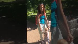 Две собаки разорвали котенка - а хозяйки спокойно гуляют по парку с ребенком