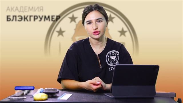Экспресс-линька собак | Онлайн мастер-класс | АКАДЕМИЯ БЛЭКГРУМЕР.РФ| Юлия Дягель