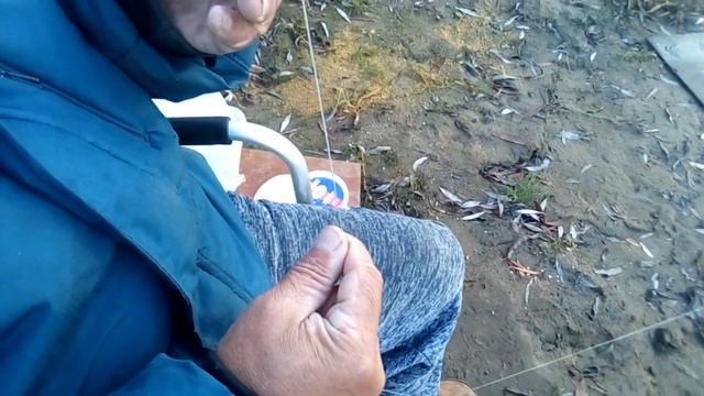 ПРИБЫЛИ НА РЫБАЛКУ 30.10.2022 рыбалка на фидер на десне смотреть онлайн