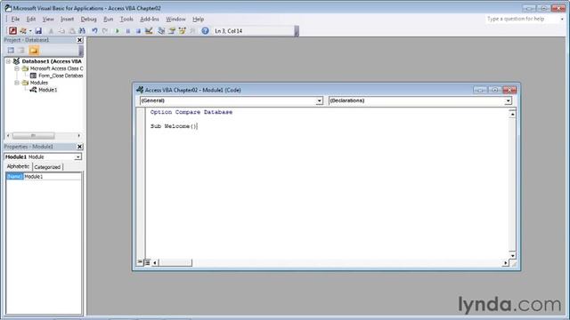 2. Introducing Visual Basic for Applications (VBA)_5.sub