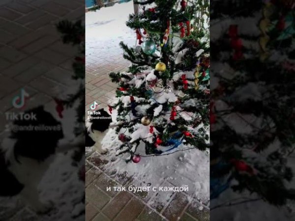Собака как кошка играет немножко.