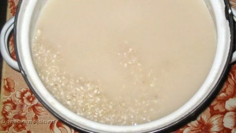 Натуральные удобрения для домашних цветов