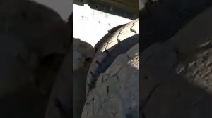 ЗАО ЗОЛОТАЯ ЗВЕЗДА МИНУСИНСК.Рудник Майский.1.06.2021.Техника вся рабочая.🤣