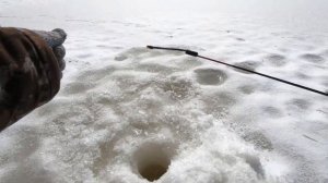 ЭТА РЫБА КРУЧЕ ЧЕМ МЕШОК ЯЗЯ ИЛИ ОКУНЯ)! ВЕСЕННЯЯ РЫБАЛКА И МОРОЗНАЯ КРАСОТА ТАЁЖНОЙ РЕКИ НА ЯМАЛЕ!