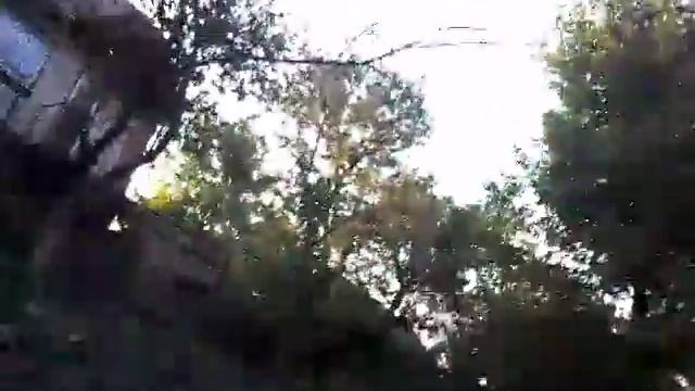 Влог- На даче! Алина Москаленко смотреть онлайн