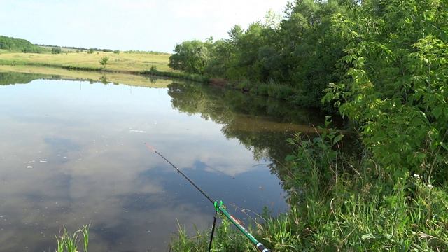 Ловля карася на поплавок. На диком пруду. смотреть онлайн