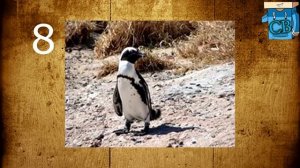 15 интересных фактов о компьютере!