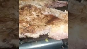 Как готовит стейк в домашних условиях.
