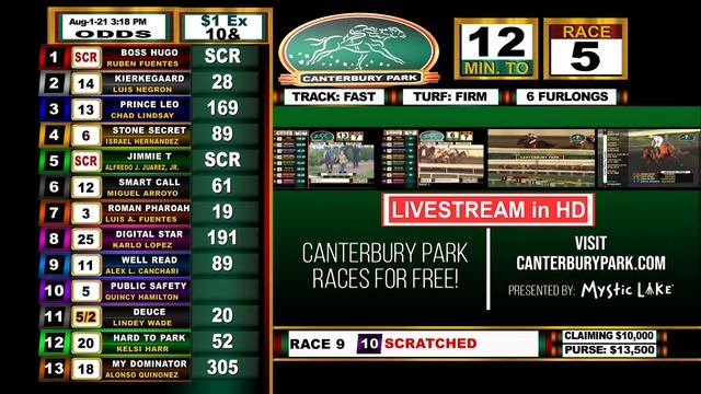 Canterbury Park 8-1-2021 CORGI RACES смотреть онлайн