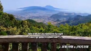 Запомни мой номер на экстренный случай. Ирина Долинная, Современная поэзия.