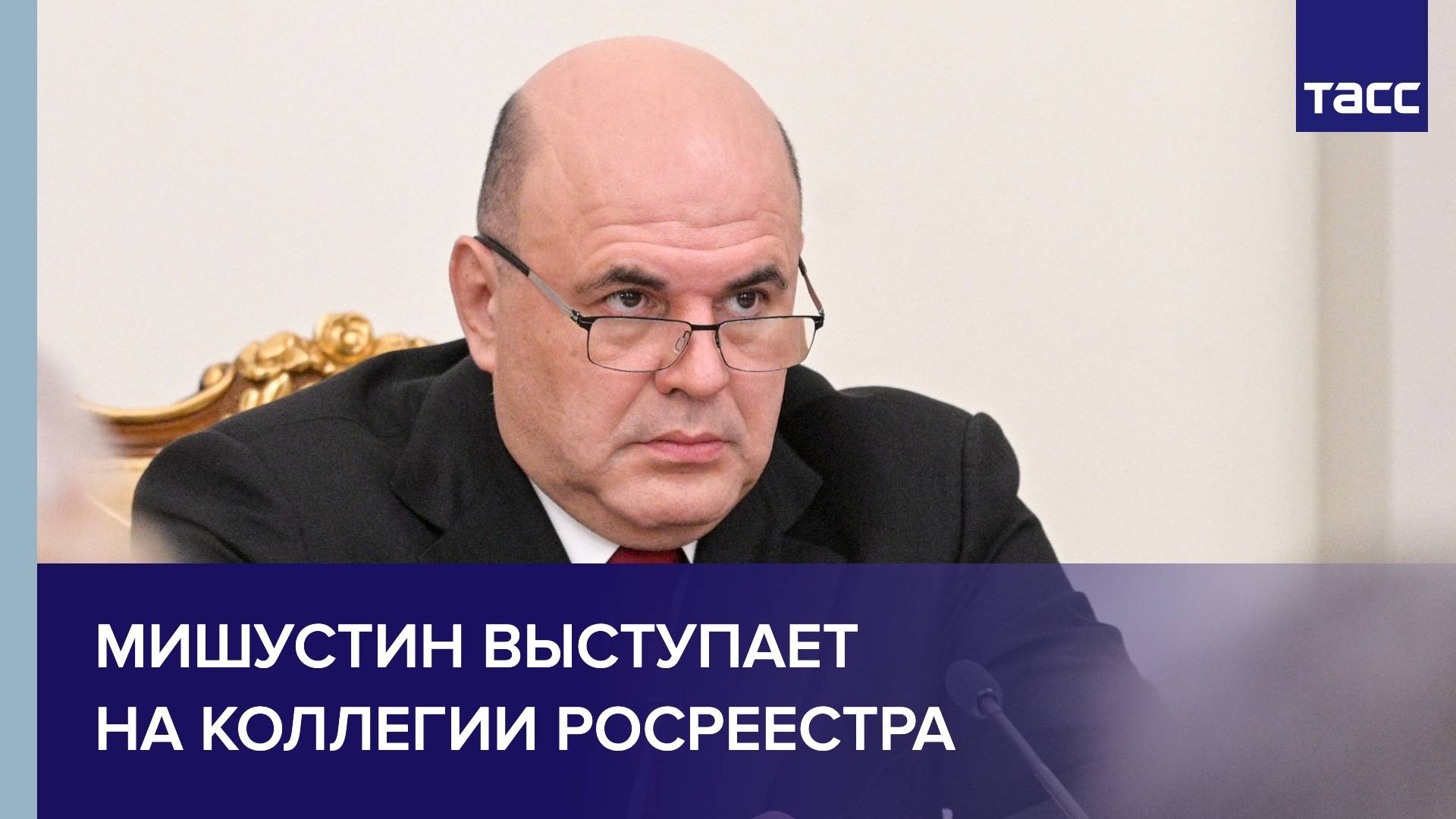 Мишустин выступает на коллегии Росреестра