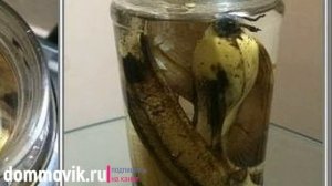 Не выбрасывайте банановую кожуру, пока не посмотрите это видео.