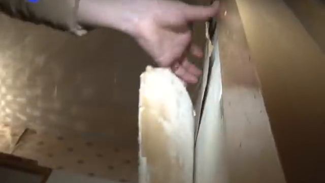 Развели сырость смотреть онлайн