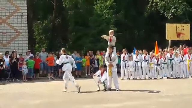 Показательные выступления по Тхэквондо ВТФ смотреть онлайн