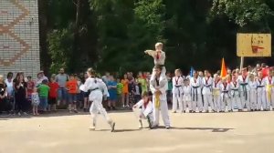 Показательные выступления по Тхэквондо ВТФ