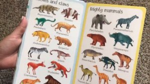 199 Dinosaurs and Prehistoric Animals ?? Usborne Books & More