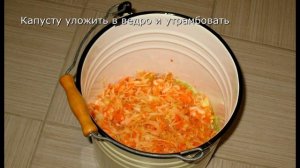 Квашеная капуста с клюквой. Витаминный заряд!