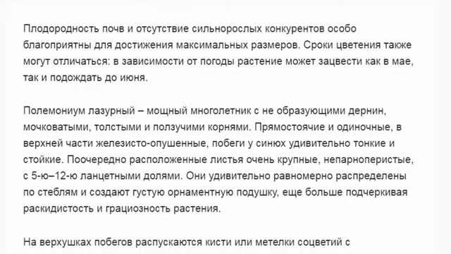 Синюха Лазурная Красивые растения для вашего сада смотреть онлайн