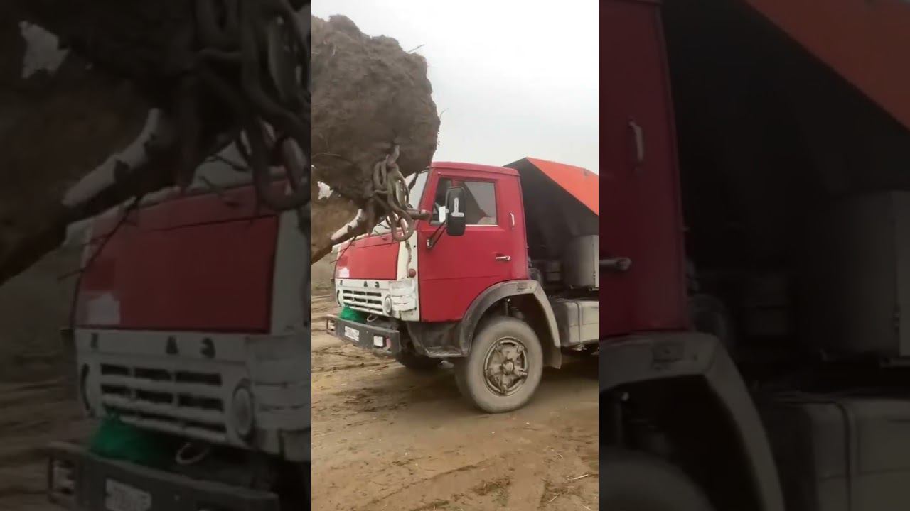 Клубок змей смотреть онлайн