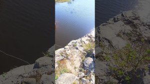 Рыбалка на Верхнее Кузьминское водохранилище