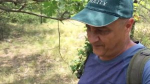 Недвижимость в Крыму. Проблемы покупки и подводные камни. ИЖС в Крыму.