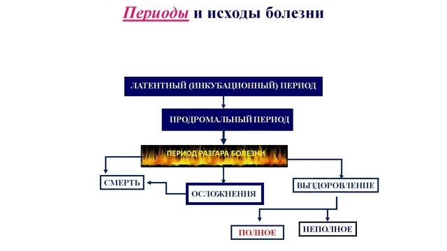 Прямая трансляция пользователя Аудитория 209
