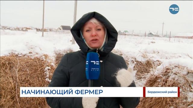 Начинающий фермер