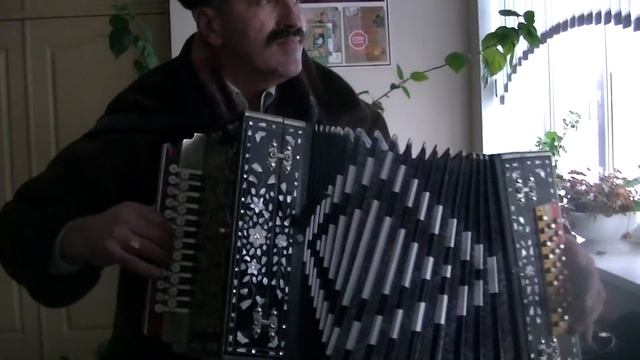 Цыганочка на Гармони (Валерий Шевчук г Кобрин) смотреть онлайн