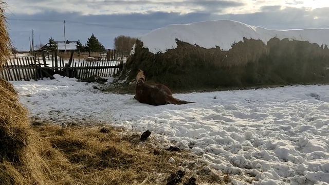 Продам , Avito ;) смотреть онлайн