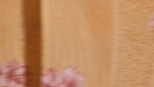 3д печать Anycubic Chiron