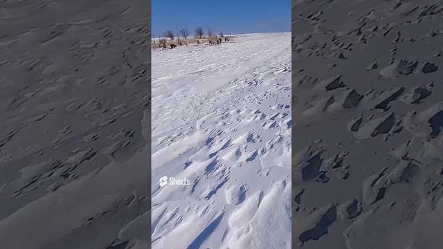 24 января 2024 г..mp4 смотреть онлайн