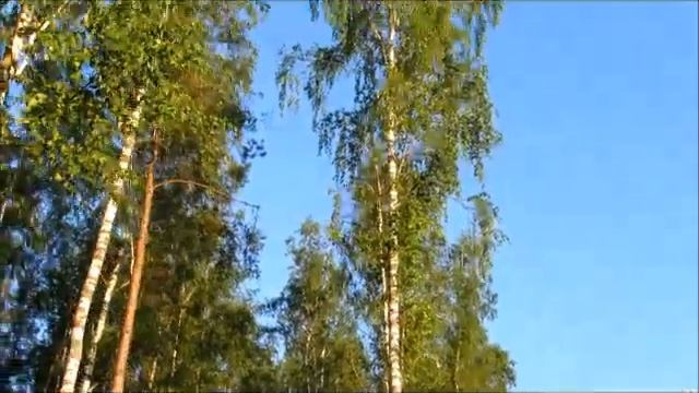 Л.Рубальская-Женщина курит на лавочке... смотреть онлайн