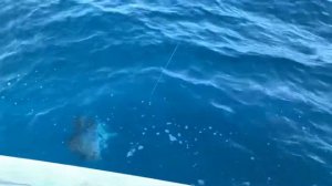 GT Fishing in Gaafu Dhaalu Atoll