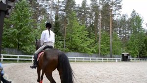 Принимание на рыси. Первые пробы.