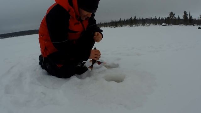 ЗА КУМЖЕЙ В ГЛУХОЗИМЬЕ С @kolapeninsula51 "ТАЙГА" ВАЛИТ ПО СУГРОБАМ. смотреть онлайн