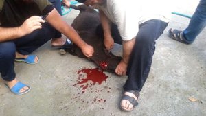 Курбан байрам