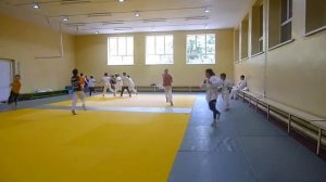 Подвижные игры в дзюдо (командный "Невод")