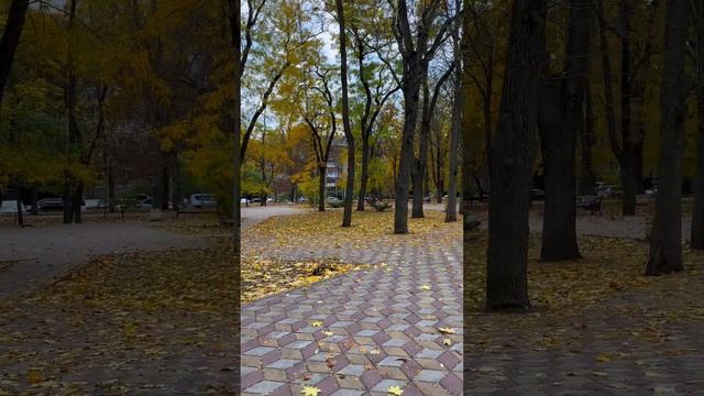 Ростов-на-Дону ? прогулка по городу ? красота осени ???️