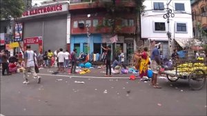 13. Завтрак на 1 доллар на четверых. Котики и рыба. Жизнь большого индийского города.  Калькутта.