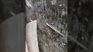 изготовление осиновой дранки, кровельный материал проверенный веками.