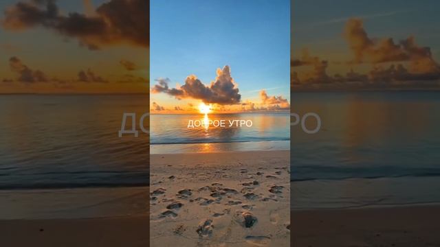 С ДОБРЫМ УТРОМ! ХОРОШЕГО ДНЯ | DY-127
