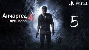 Анчартед 4: путь вора #5 (Sony Playstation 4)