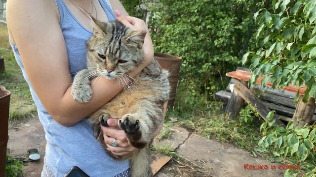 АЛИНА ПЕРВЫЙ РАЗ В ВОЛОГДЕ / ОЗОН ПОКУПКИ/ ДАЧА смотреть онлайн