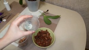 Отделение детки орхидеи Liodoro и посадка
